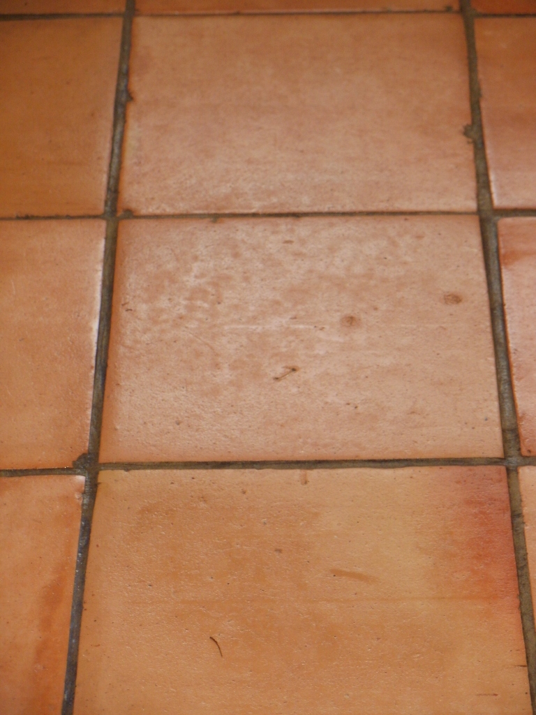 Terracotta Tile Before Cleaning in Tooting